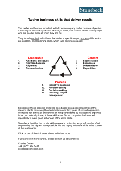 Stonebeck web_12 skills