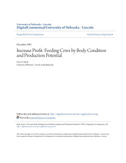 Increase Profit: Feeding Cows by Body Condition and Production