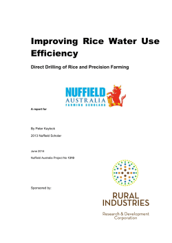 Improving Rice Water Use Efficiency