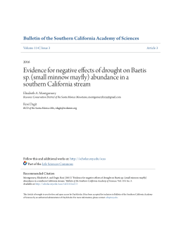 Evidence for negative effects of drought on Baetis sp