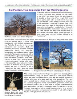 Fat Plants: Living Sculptures from the World`s