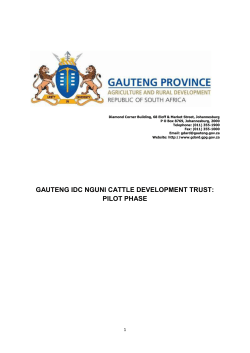 gauteng idc nguni cattle development trust: pilot phase