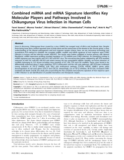 Combined miRNA and mRNA Signature Identifies Key Molecular