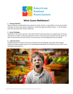 What Causes Meltdowns? - American Autism Association