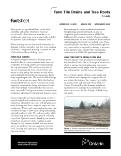 12-055 &mdash; Farm Tile Drains and Tree Roots