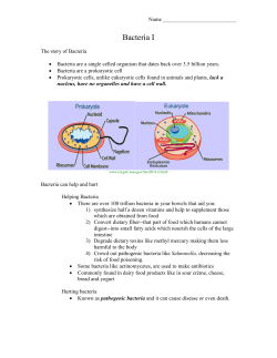 The Story of Bacteria, Part I