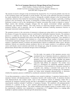 The Use of Anammox Bacteria in Nitrogen Removal from