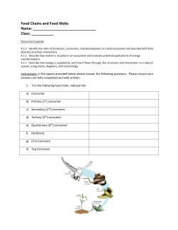 Food Chains and Food Webs Assignment
