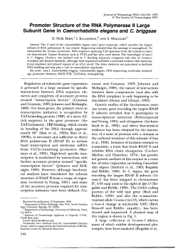 Promoter Structure of the RNA Polymerase II Large Subunit Gene in