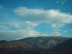 ON THE MODELING OF AN AIRLIFT PHOTOBIOREACTOR Christo