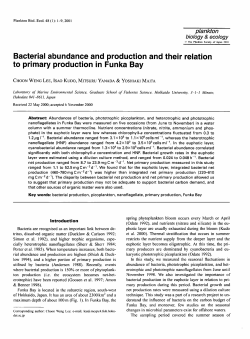 Bacterial abundance and production and their relation to primary