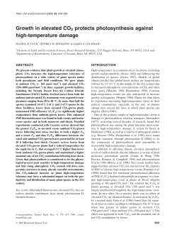 Growth in elevated CO2 protects photosynthesis against high