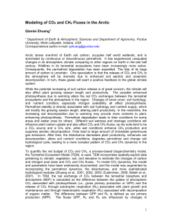 Modeling of CO2 and CH4 fluxes in the Arctic