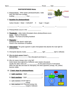 photosynthesis simplified notes 2014