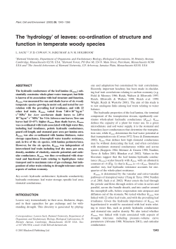 The `hydrology` of leaves: co-ordination of structure and function in