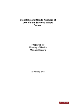 Stocktake and Needs Analysis of Low Vision