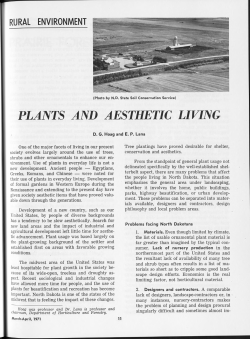 PLANTS AND AESTHETIC LIVING