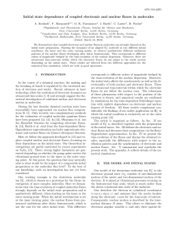 Initial state dependence of coupled electronic and nuclear fluxes in
