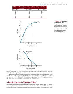 Allocating Income to Maximize Utility