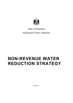 NON-REVENUE WATER REDUCTION STRATEGY