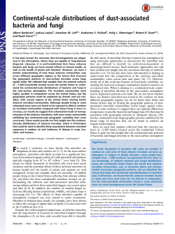 Continental-scale distributions of dust