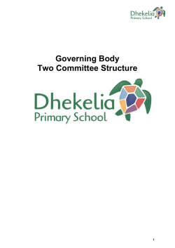 Governing Body Two Committee Structure Strategic Governance