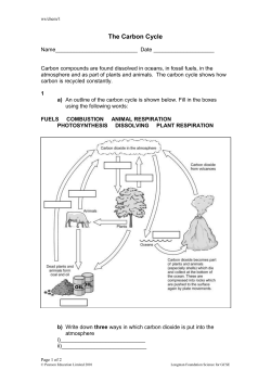 The Carbon Cycle