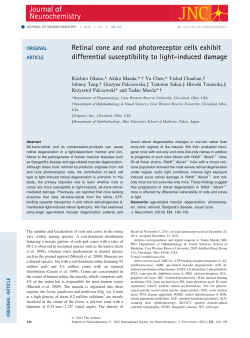 Retinal cone and rod photoreceptor cells exhibit differential