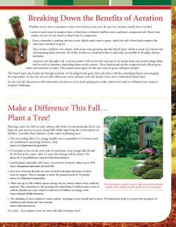 Make a Difference This Fall&hellip; Plant a Tree! Breaking Down the