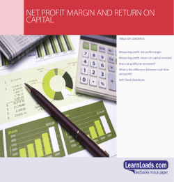 net profit margin and return on capital