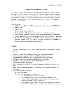 Three-color Western Blot Protocol