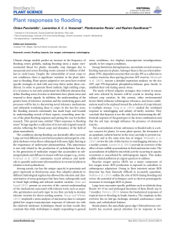 Plant responses to flooding - Archivio della ricerca della Scuola