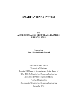 smart antenna system - Khartoum Space