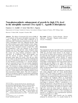 Non-photosynthetic enhancement of growth by high CO2 level in the