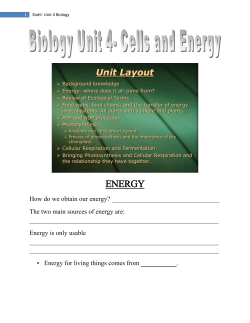 Stahl- Unit 4 Biology
