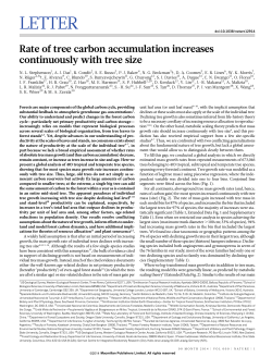 Rate of tree carbon accumulation increases