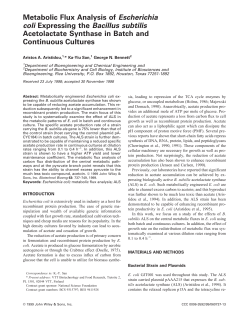 Metabolic flux analysis of Escherichia coli