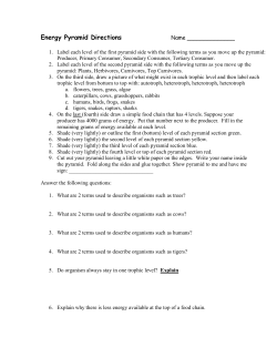 Energy Pyramid Directions