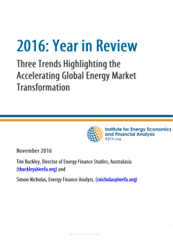 2016 - Institute for Energy Economics and Financial Analysis (IEEFA)