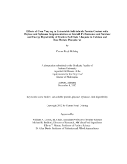 Effects of Corn Varying in Extractable Salt