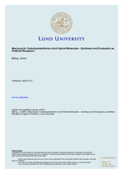 Macrocyclic Carbohydrate/Amino Acid Hybrid Molecules