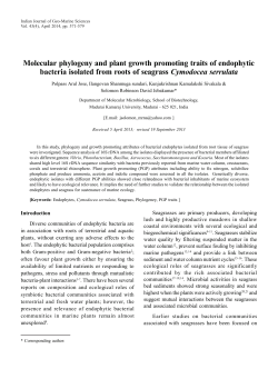 Molecular phylogeny and plant growth promoting traits of