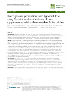 Direct glucose production from lignocellulose using Clostridium