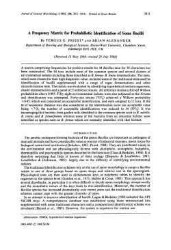 A Frequency Matrix for Probabilistic Identification of