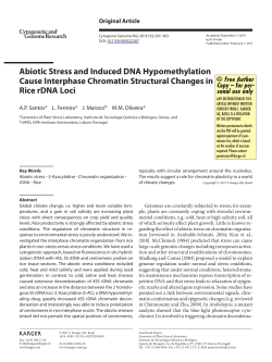 Abiotic Stress and Induced DNA Hypomethylation Cause Interphase