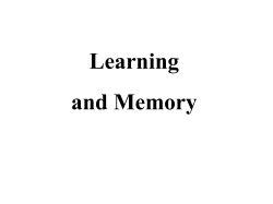 learning and memory
