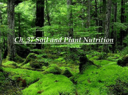 Ch. 37 Soil and Plant Nutrition 37.1 Soil contains a