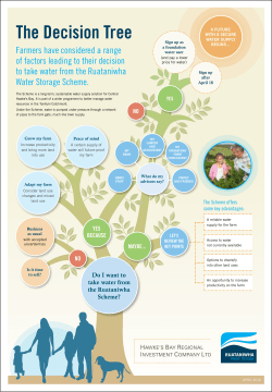 The Decision Tree