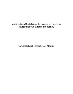 Unravelling the Maillard reaction network by multiresponse kinetic