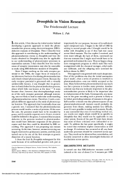 Drosophila in vision research. The Friedenwald Lecture.